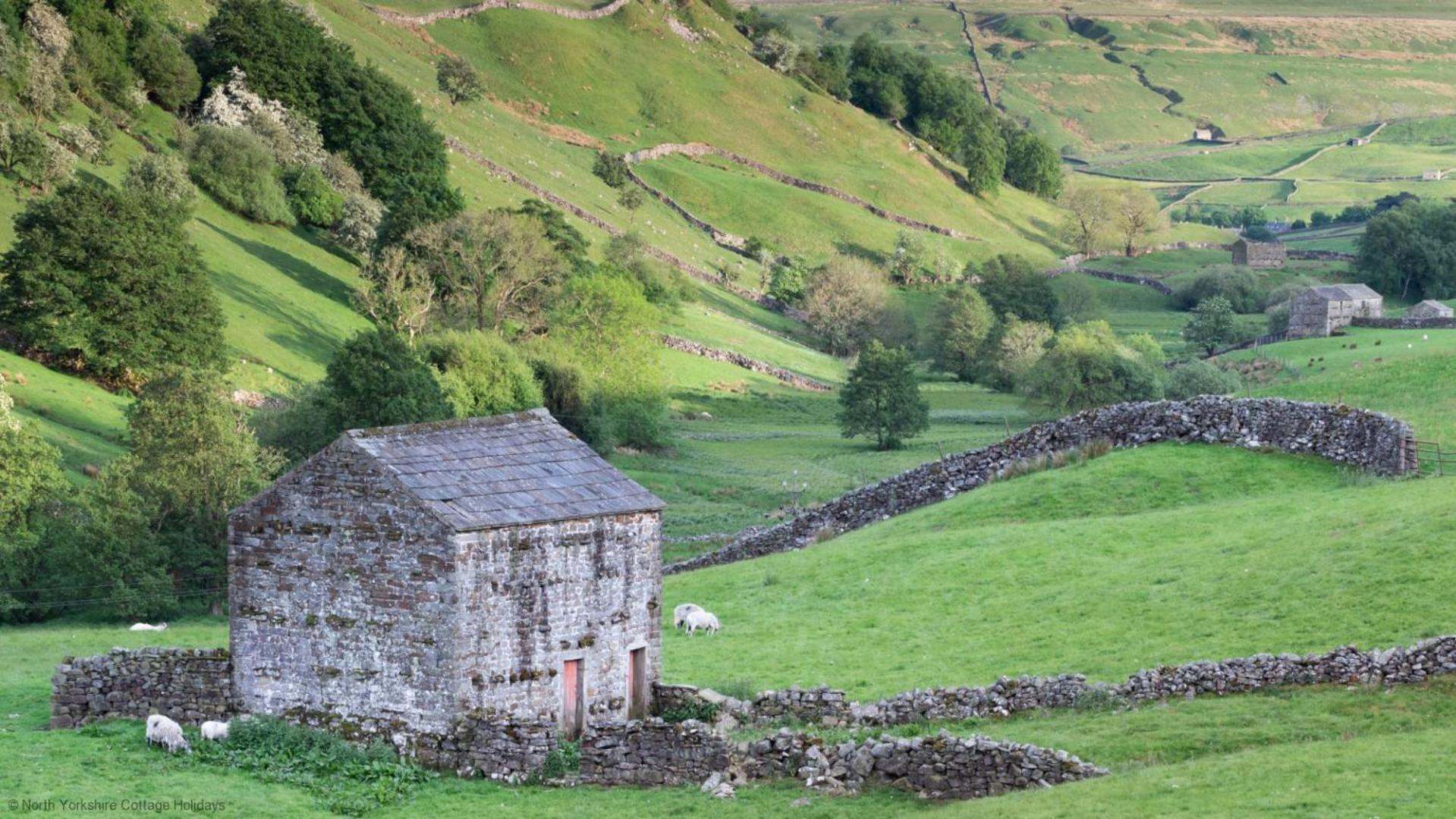 Stone Cottage In Picturesque North Yorkshire Village - Bull Dog Cottage Ampleforth Экстерьер фото